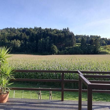 Ferienhaus Am Bach Kirchberg an der Raab Exterior photo