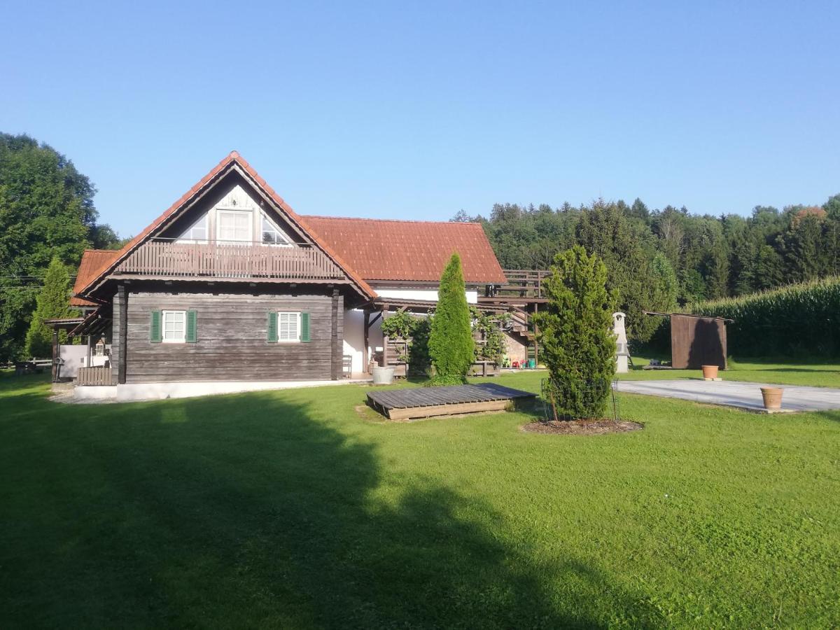 Ferienhaus Am Bach Kirchberg an der Raab Exterior photo